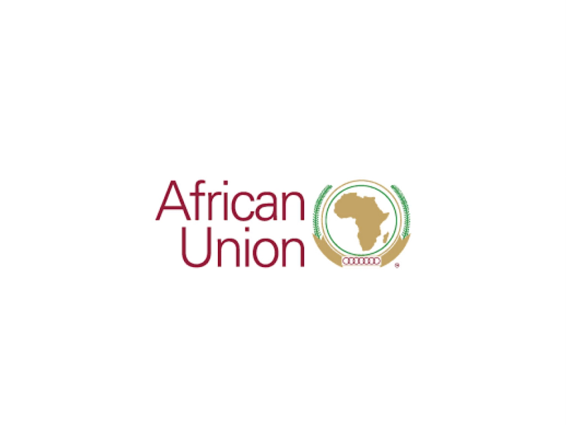 The African Union'