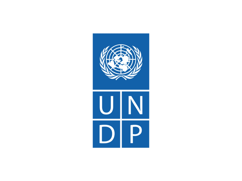 UNDP'
